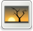 [thumbnail of White Logo]